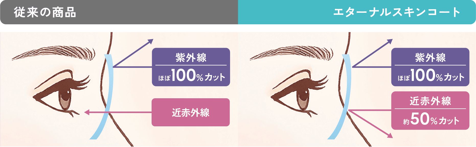 従来の商品 エターナルスキンコート