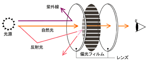 Vol.18 アウトドア用偏光レンズ レグフライトＨＸ