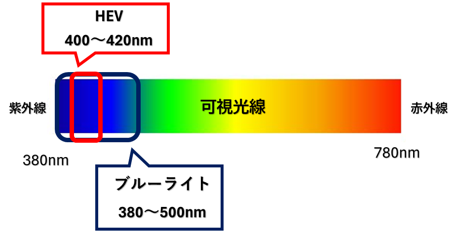 可視光線の中の、HEVの波長領域とブルーライトの波長領域を表した図