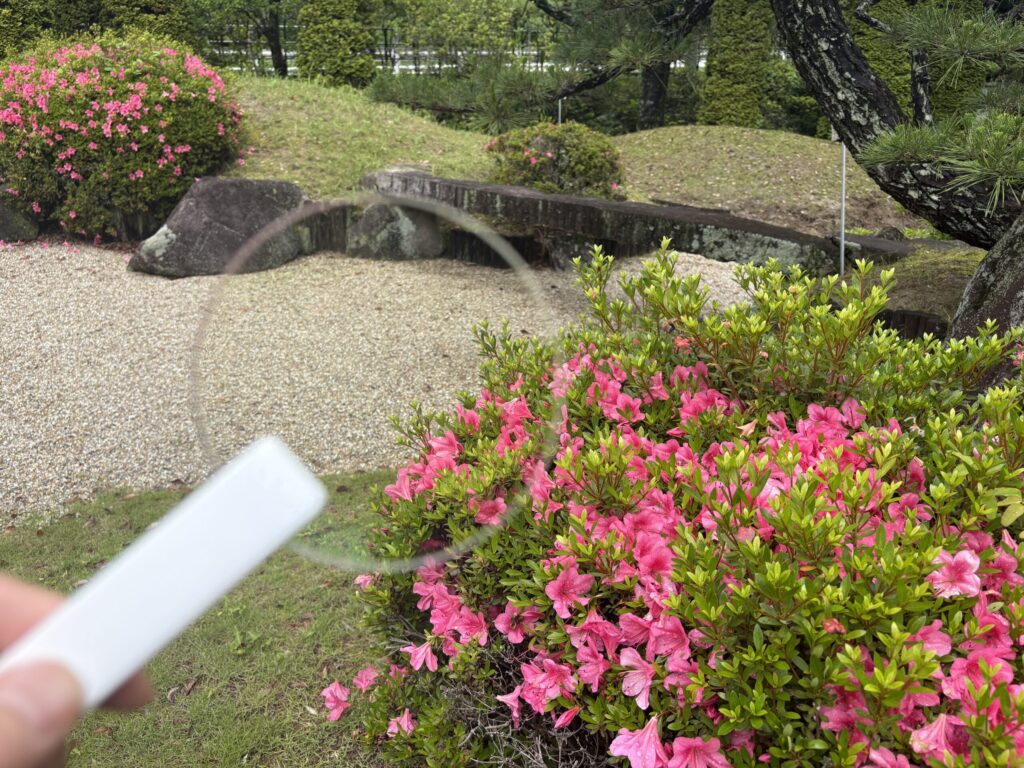 ルティーナを砂利や花にかざして、レンズ越しの色味を確認する画像