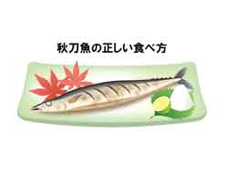 秋の味覚「秋刀魚」！秋刀魚の正しい食べ方とは