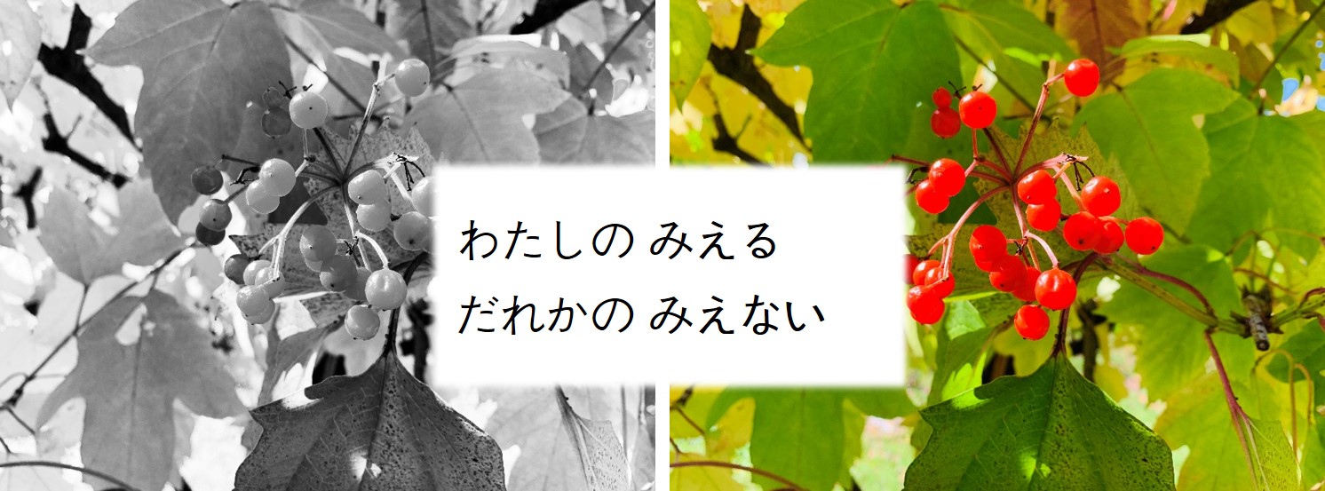 わたしのみえるは　だれかのみえない　それって？？～色のユニバーサルデザイン～