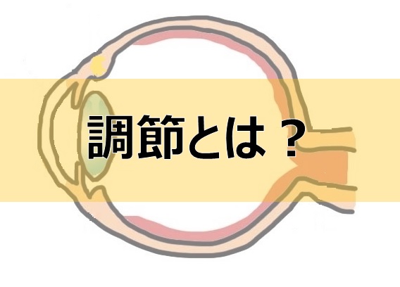 目の働き『調節』～遠くも近くもスムーズに見える不思議～