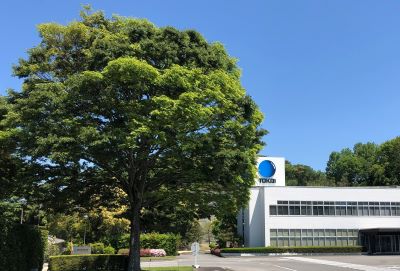 東海光学に息づく植物たち🌳