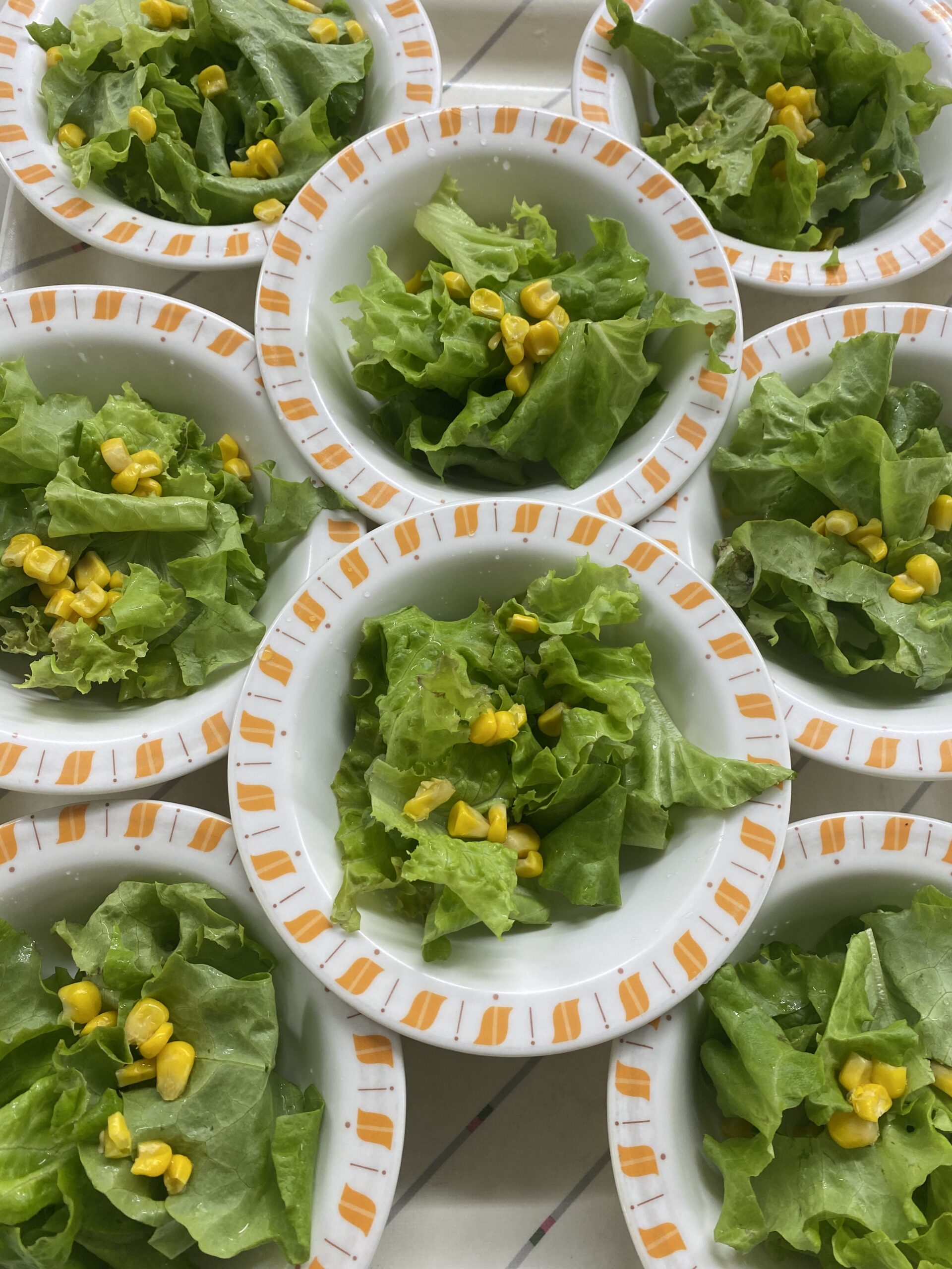 『TOKAIハピネスファーム』で採れた新鮮な野菜🥬の行く先は…？