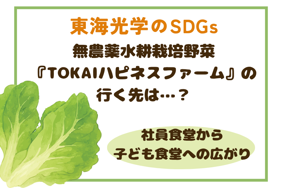【東海光学のSDGs】無農薬水耕栽培野菜『TOKAIハピネスファーム』の行く先は…？社員食堂から子ども食堂への広がり