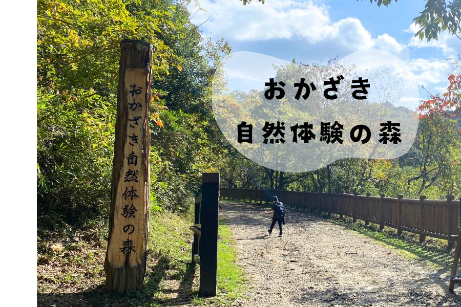 自然を学ぼう！楽しもう！おかざき自然体験の森！