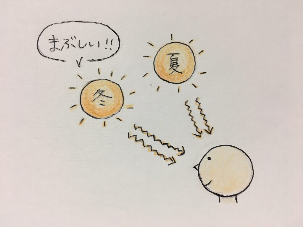 夏より冬の太陽のほうが高さが低いのでまぶしさを感じる図