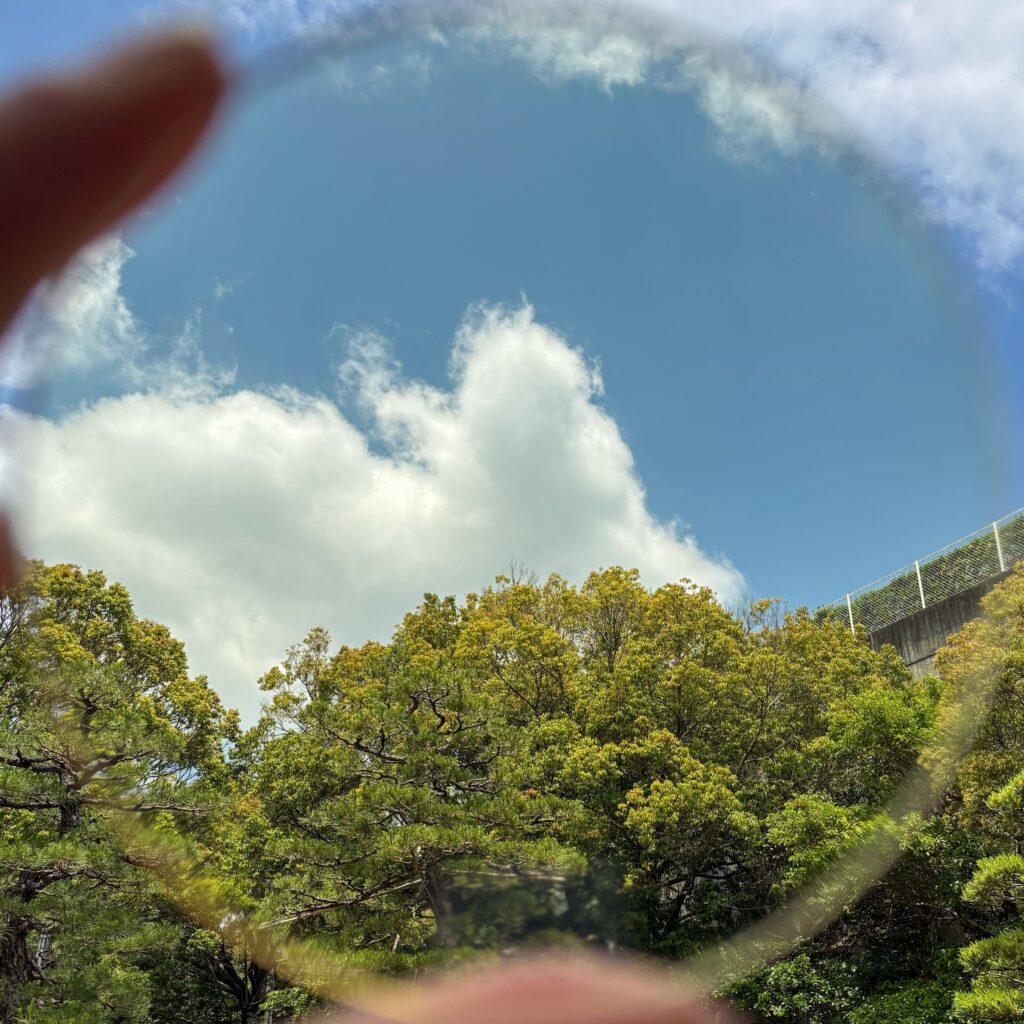 フィールブラウンのレンズ越しの見え方の写真。