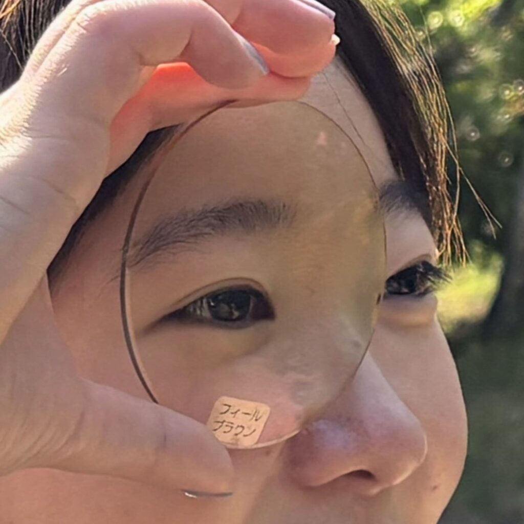 フィールブラウンの対面した時の見られ方の写真。
