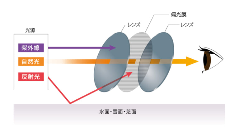 偏光レンズの仕組みを表した図