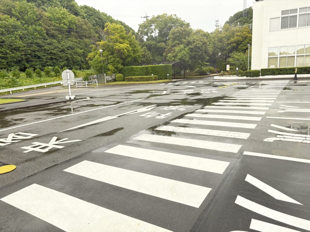 雨の日に機能レンズ(フィールブラウン)を装用した見え方