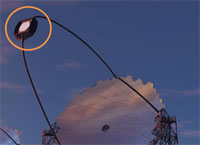 東海光学の光センサー用集光器が世界最大級のガンマ線天文台に搭載されました